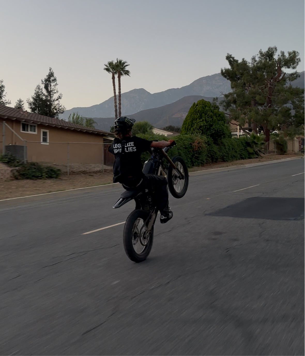 Legalize wheelies T-shirt