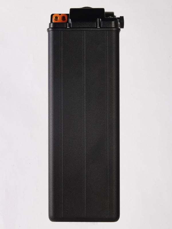 81.4V 45AH Surron Light Bee Battery