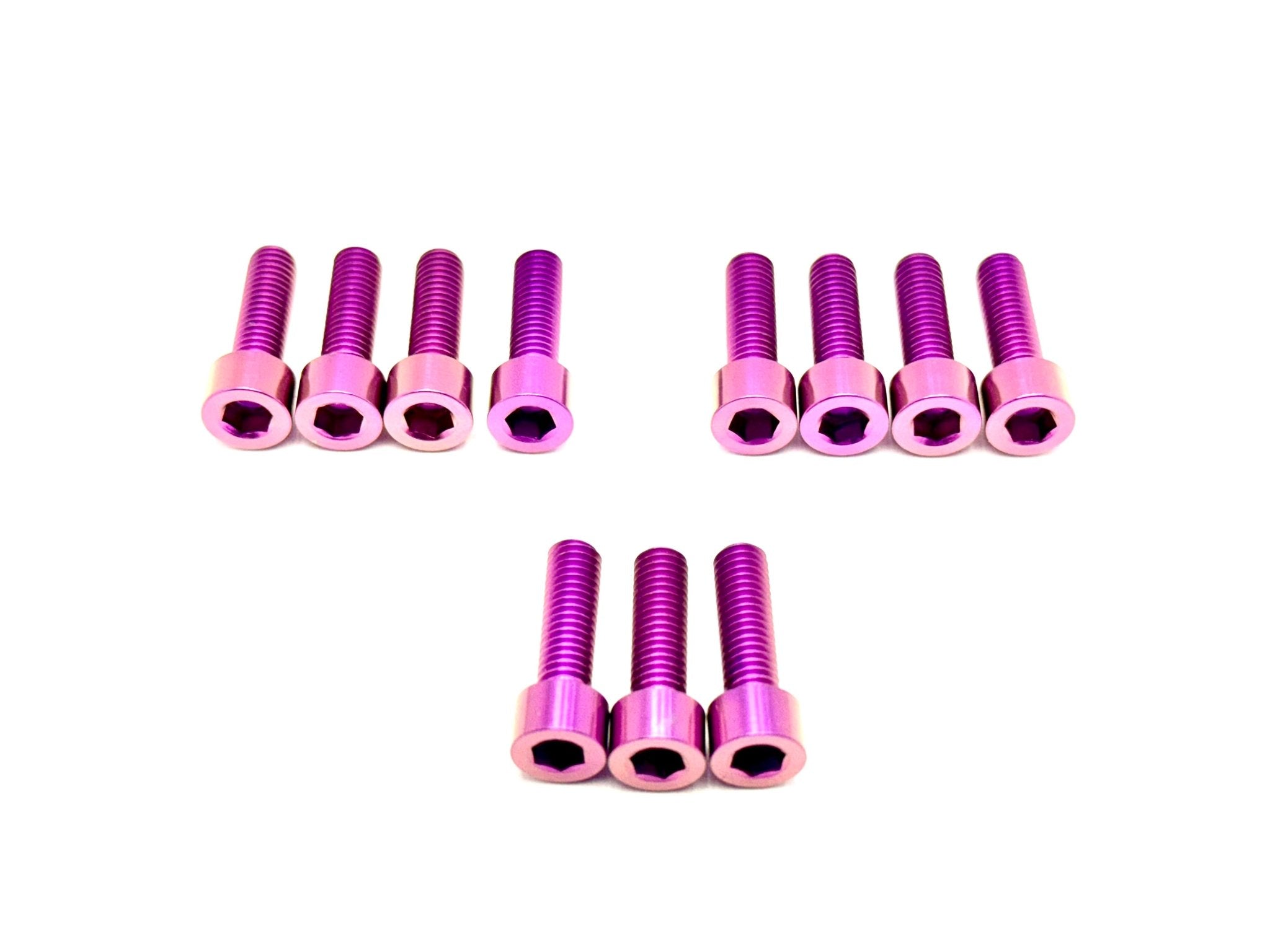 RST Fork Titanium Bolt Kit