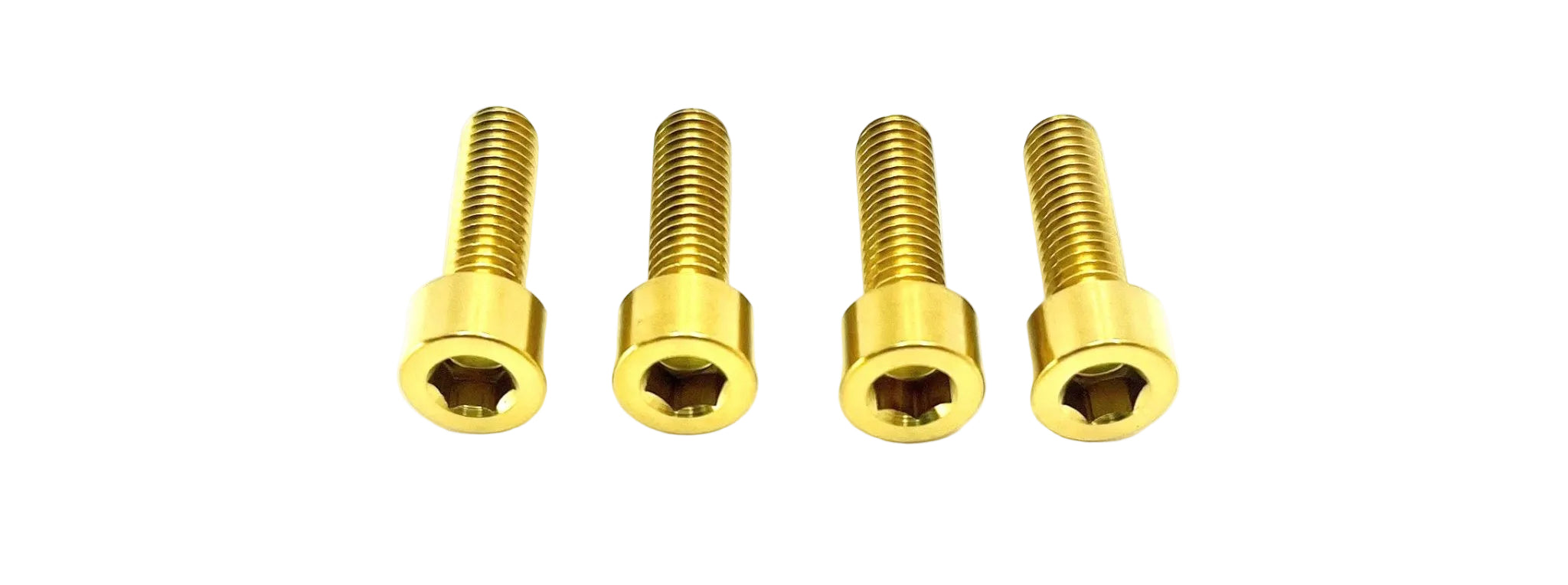 Titanium E-Moto Brake Handle-Mount Bolts